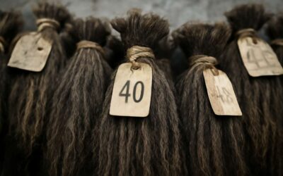 Unveiling the grey market of borana weaves: counterfeit threads and authentic artistry.